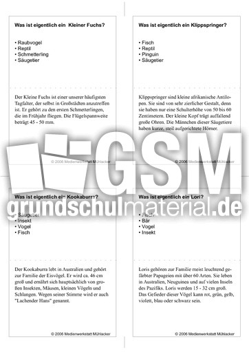 Quiz-Karten-Tiernamen 49.pdf